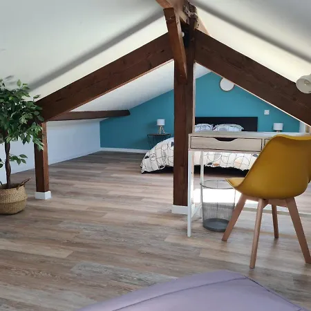Appartement Spacieux Duplex Sous Combles. *