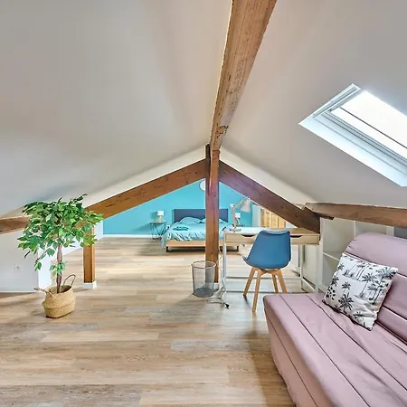 Spacieux Duplex Sous Combles. *